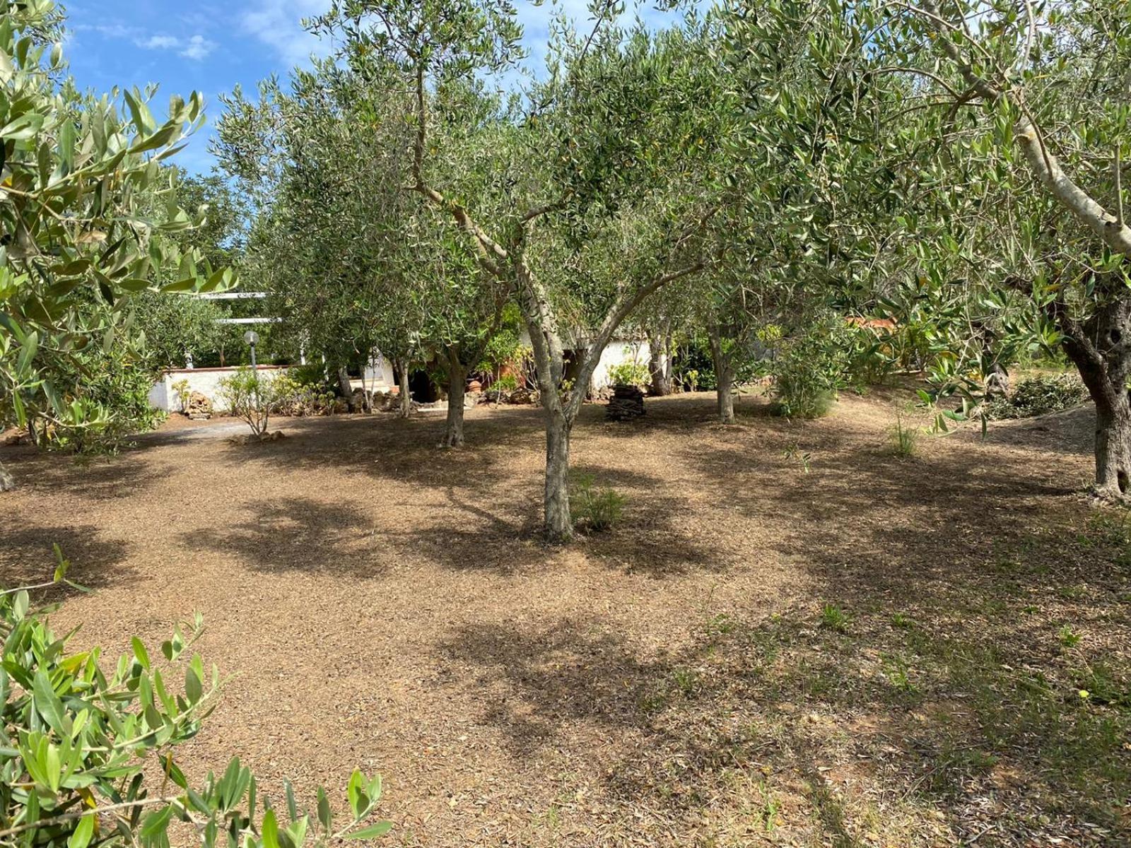 Domo Angheleda - Alghero Casa Indipendente Vicino Al Mare Екстер'єр фото